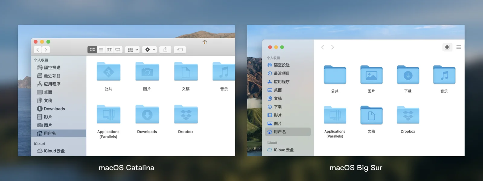 2020-2021官网截图