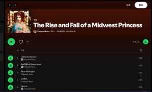 Spotify音乐下载神器