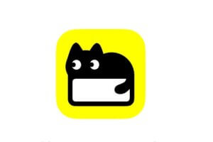 猫箱，虚拟 AI 角色聊天互动