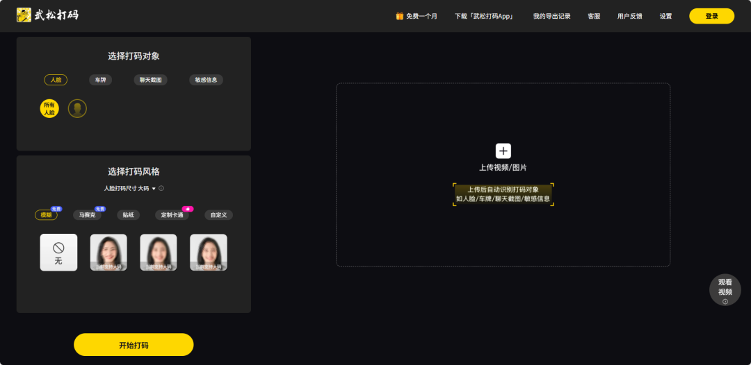 武松打码-人脸车牌等图片视频AI打码工具
