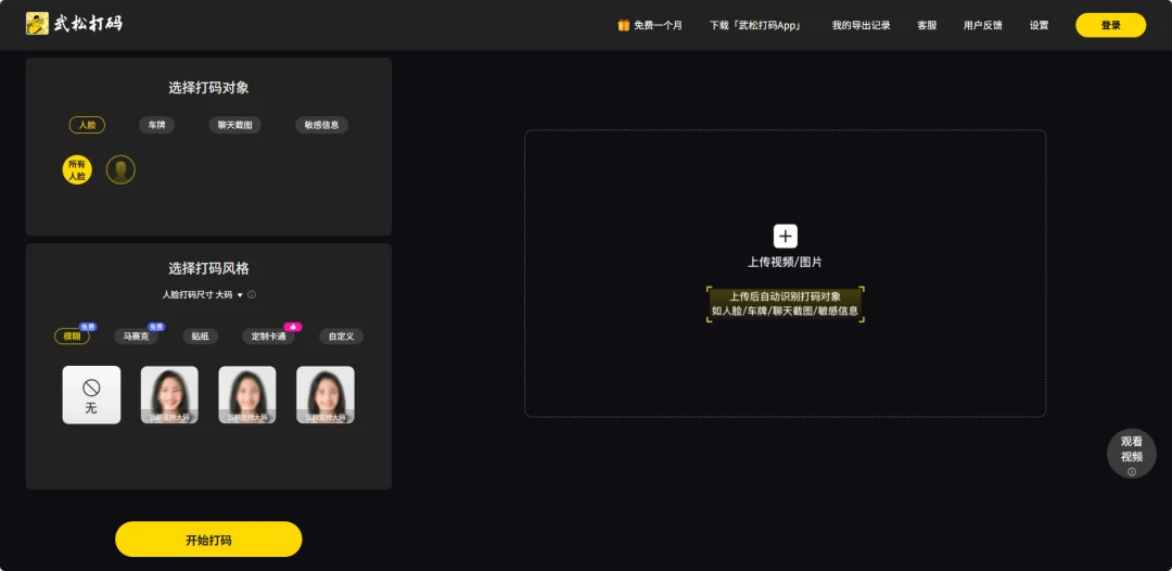 武松打码-人脸车牌等图片视频AI打码工具