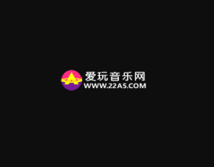 爱玩音乐网 – 全面的传统音乐资源下载