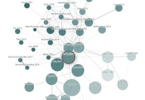 Connected Paper查询论文相关的文献