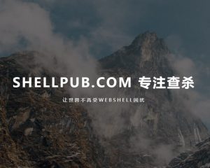 SHELLPUB – 网站文件后门在线查杀软件