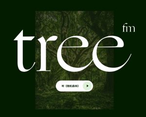 Tree听森林 – 听来自世界自地森林的声音