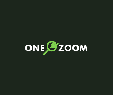 OneZoom – 生命之树可视化