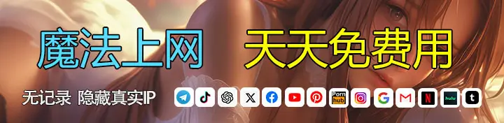 网络