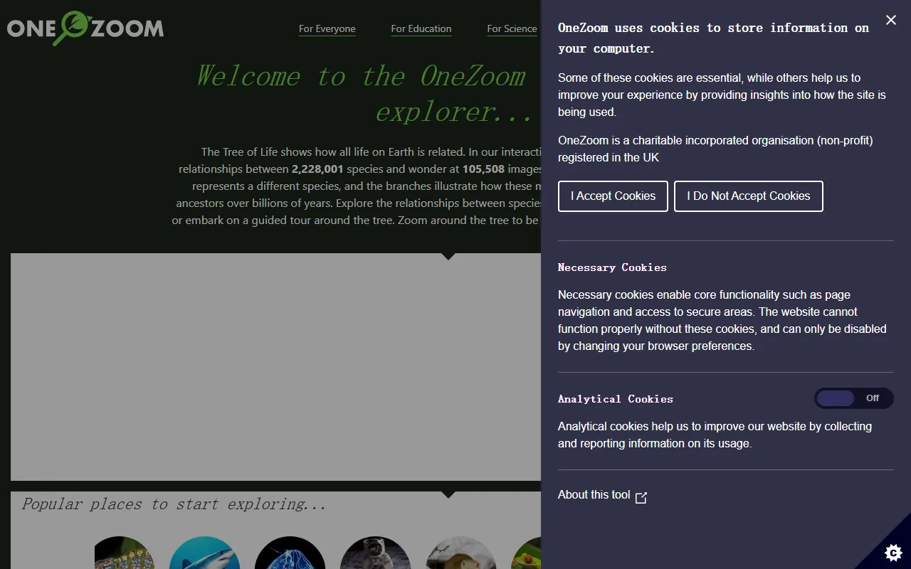 2026年最值得推荐的自学网站大全