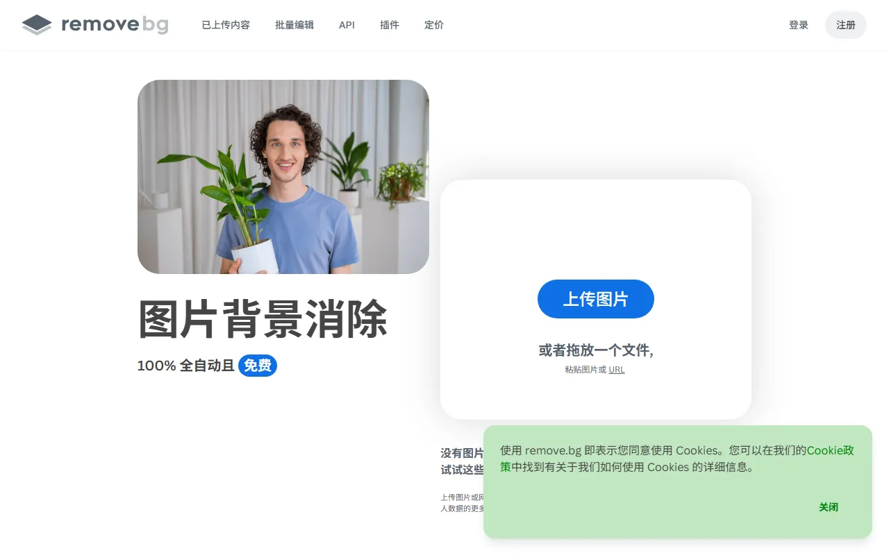Remove.bg自动抠图去背景工具界面